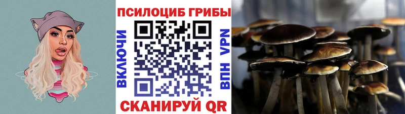 площадка наркотические препараты  Усолье  Галлюциногенные грибы GOLDEN TEACHER  omg как зайти 